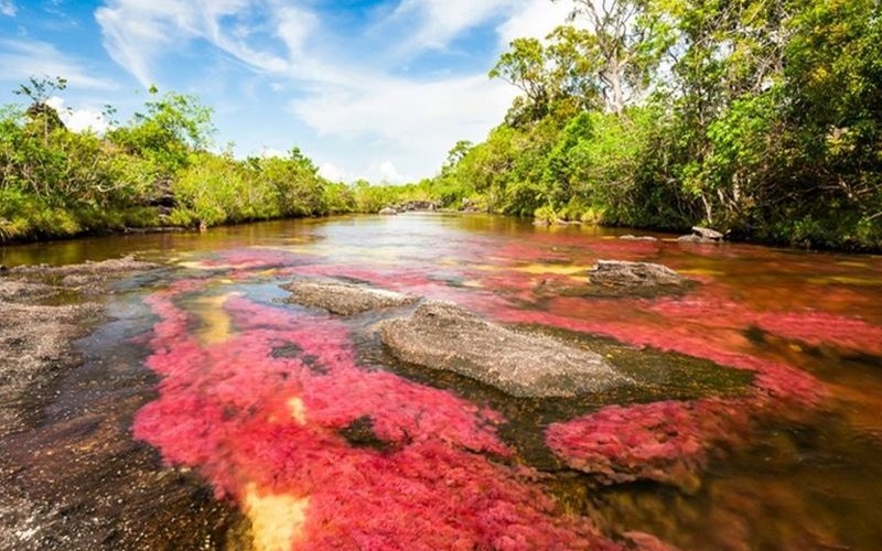 تور چشمه هفت رنگ