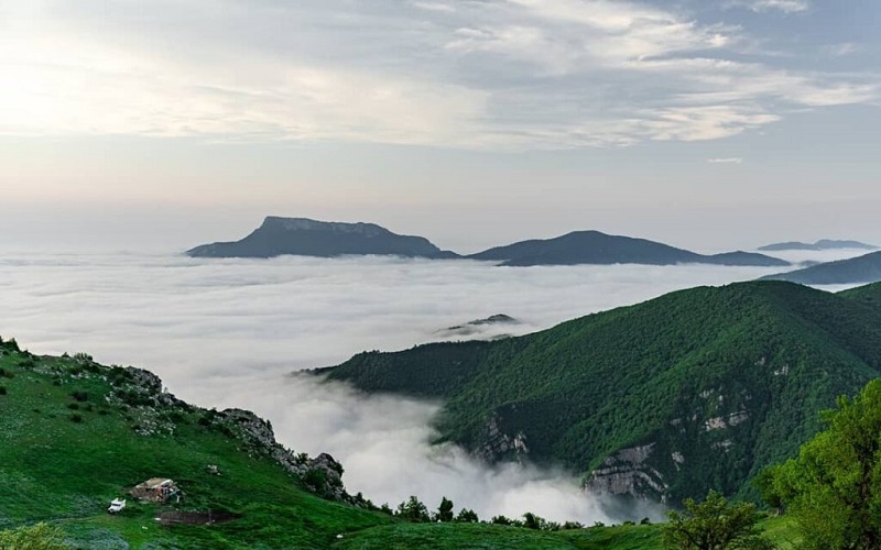 تور جنگل ابر