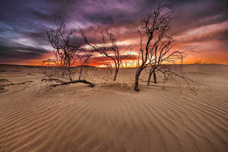 تور کویر رضا‌ آباد